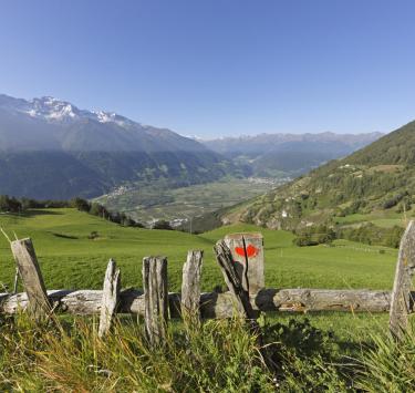 Ausblick im Sommer