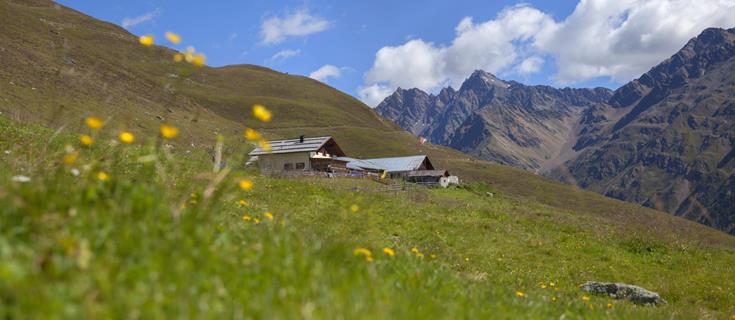 almwirtschaft-planeileralm-vinschgau-fb