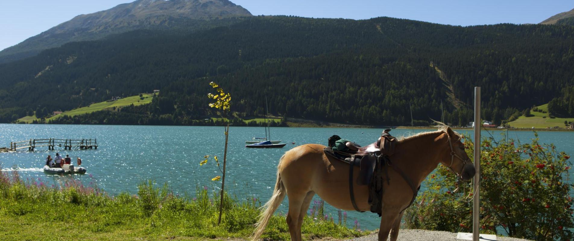 Reiten im Obervinschgau