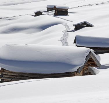 Snow-covered huts