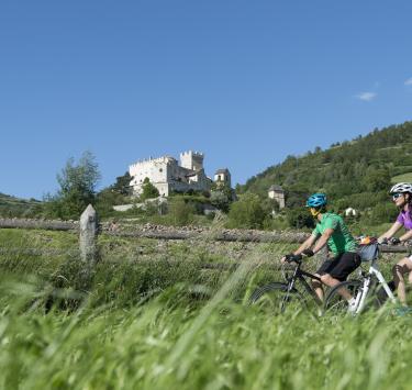 Bike Shuttle in Upper Venosta Valley