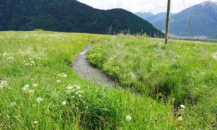 wiesenwassern-titelbild